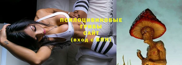 apvp Алзамай