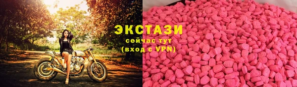 apvp Алзамай
