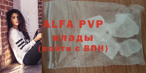apvp Алзамай